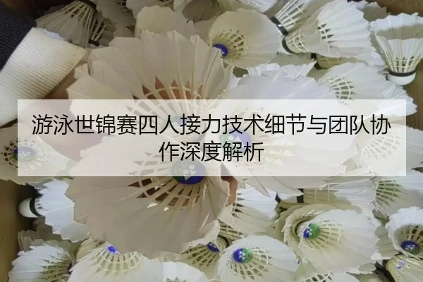 游泳世锦赛四人接力技术细节与团队协作深度解析
